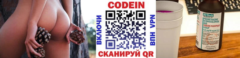 darknet как зайти  гидра как войти  Сунжа  Кодеиновый сироп Lean Purple Drank 