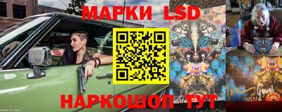 мяу мяу мука Новозыбков