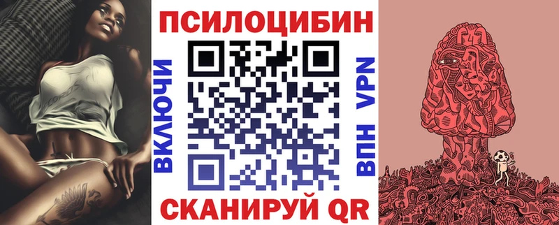 blacksprut ссылка  Сунжа  Галлюциногенные грибы Magic Shrooms 